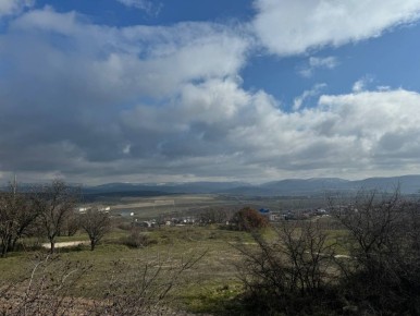 ������ �� 15 �����: