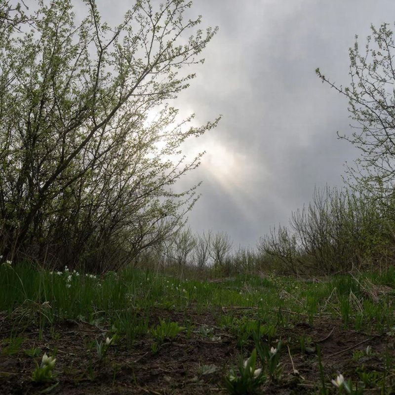 ������� ������ � ����� �� 15 �����