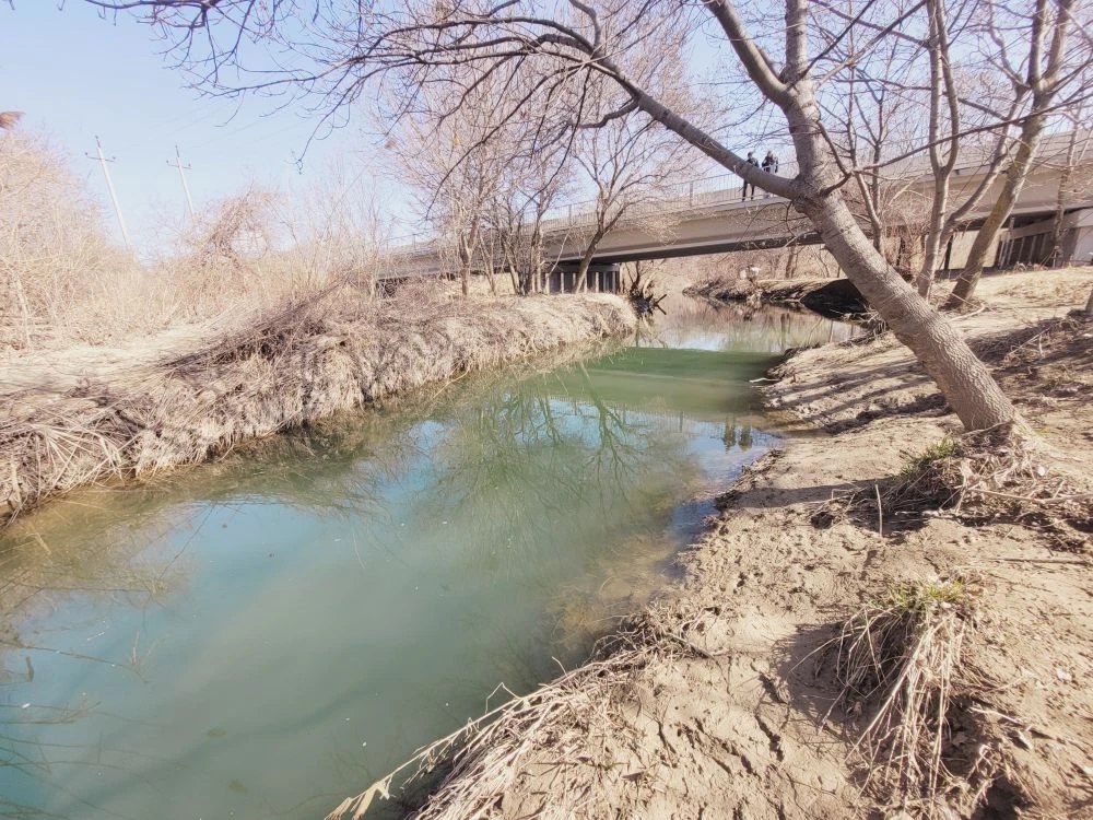14 марта - Международный день рек, который напоминает нам о важности защиты водных ресурсов нашей планеты 14 марта - Международный день рек, который напоминает нам о важности защиты водных ресурсов нашей планеты