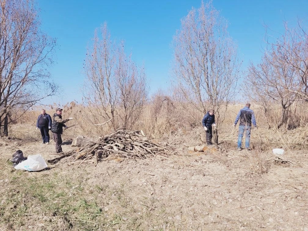 14 марта - Международный день рек, который напоминает нам о важности защиты водных ресурсов нашей планеты 14 марта - Международный день рек, который напоминает нам о важности защиты водных ресурсов нашей планеты