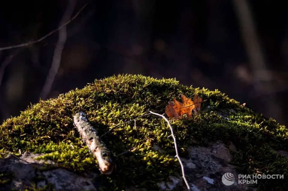 ������� ������ � ����� �� �����������