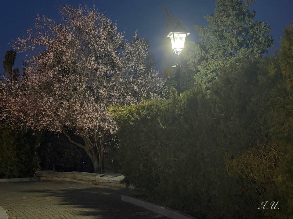 Горсвет: График включения и отключения объектов наружного освещения города Севастополя на текущую неделю: