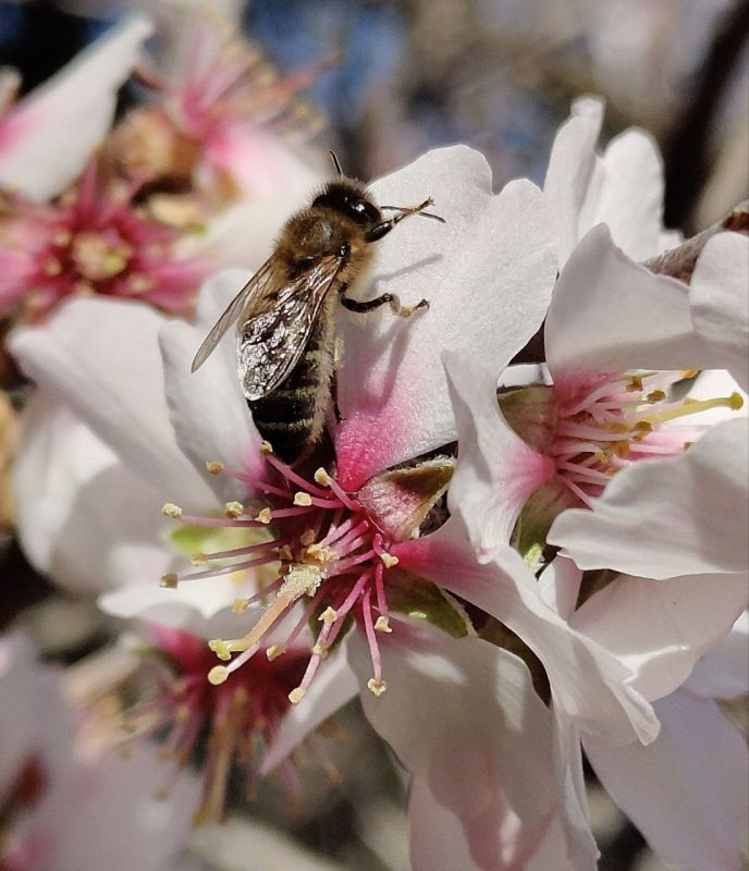 � ������ �����, �����������!