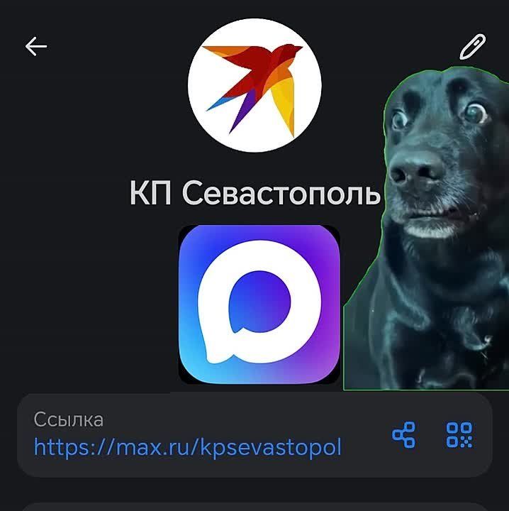 В работе Telegram наблюдаются серьезные сбои!