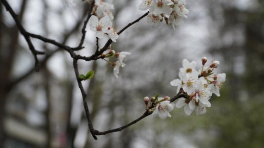 Прогноз погоды в Крыму на 16 марта