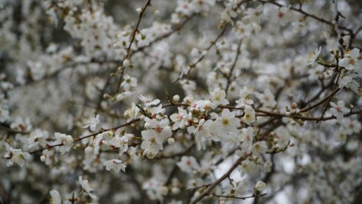 ������� ������ � ����� �� 17 �����