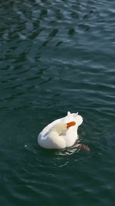 ������ ������ � ������ ������ � ������� �����. ������ ����� ���������, ��� ����������� � ��� �����.�