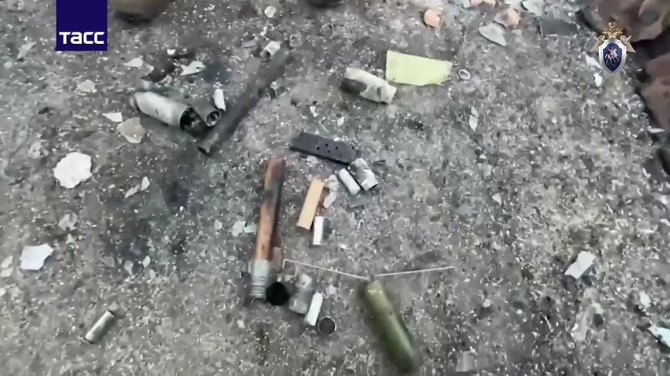 Житель Крыма поджег свой автомобиль и дом после стрельбы с полицейскими, сообщили в Главном следственном управлении по Республике Крым и городу Севастополю