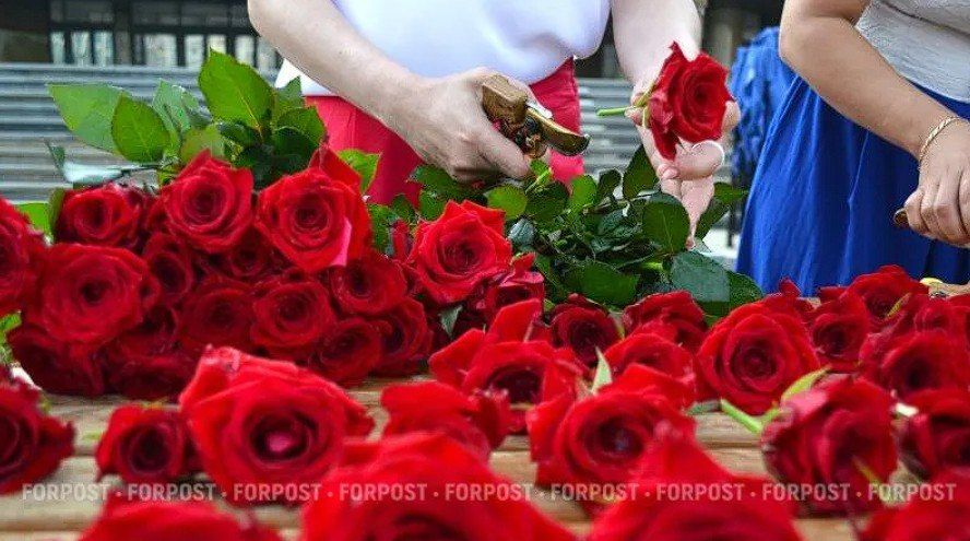 Крым будет встречать гостей цветами