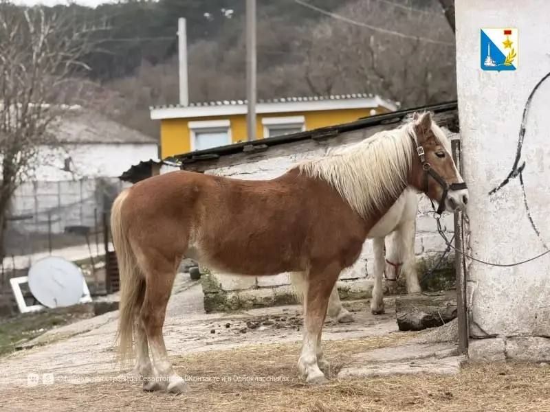 ���������� ����������� ������ ���������� ��������� �������� �� ���������