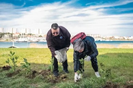 � ������ ������ �������� ���������� ����������