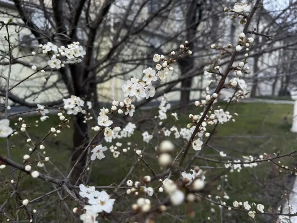 �������� ����� � �����, ����� ������ ��� ������ ��-���������, �� ����� ���� ��-�������