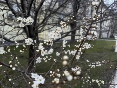 Середина марта — время, когда солнце уже светит по-весеннему, но ветер дует по-зимнему