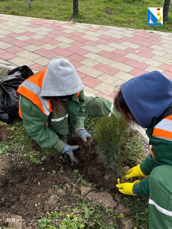 Сквер корабела Бутомы пополнился 35 новыми кустарниками