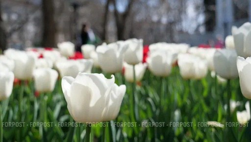 � ��������� ���� ��������� � �������� ������ �����