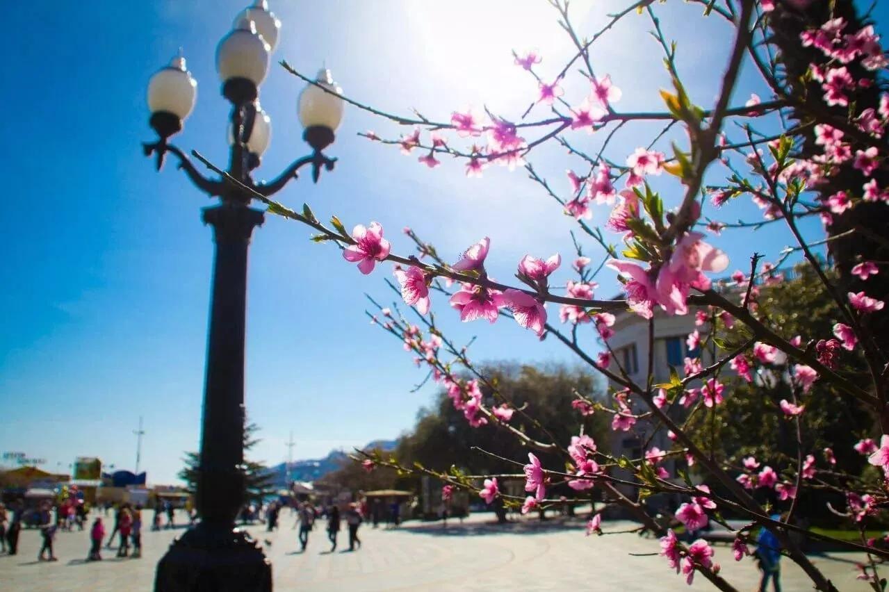 Ялта, Севастополь и Алушта стали самыми популярными городами для отдыха в Крыму