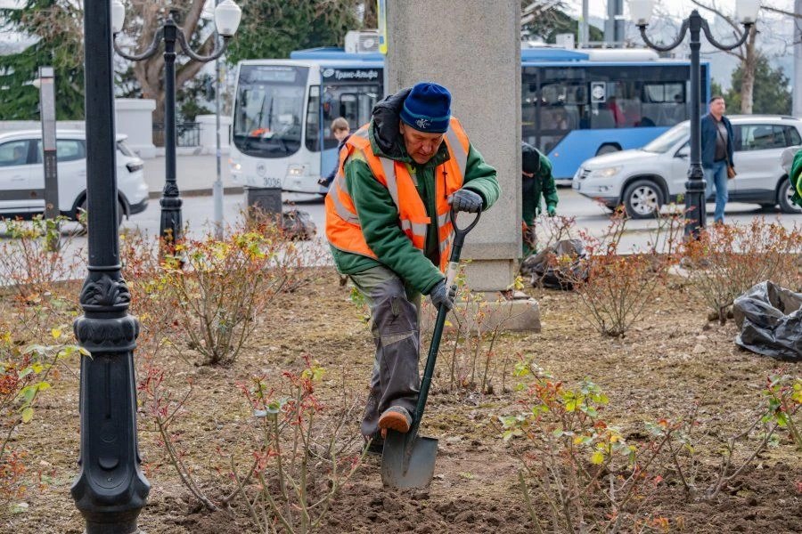 Севастопольские розарии готовят к цветению Севастопольские розарии готовят к цветению