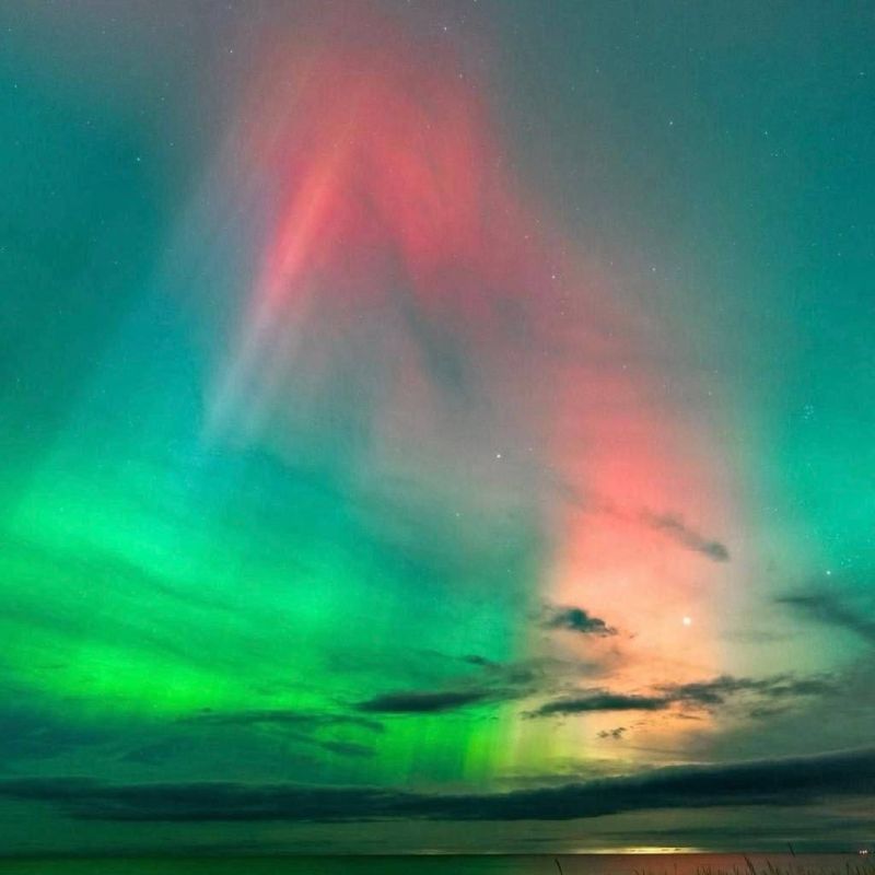 � ������ �������� ����� ��������� ����� �������� ������