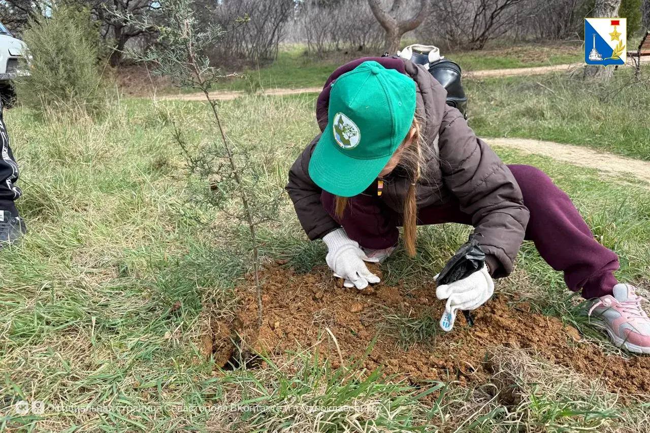 Школьники высадили порядка 50 кипарисов в парке 35-летия Победы Школьники высадили порядка 50 кипарисов в парке 35-летия Победы