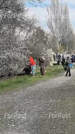 В Севастополе начался сезон субботников – сегодня первые прошли во многих районах города