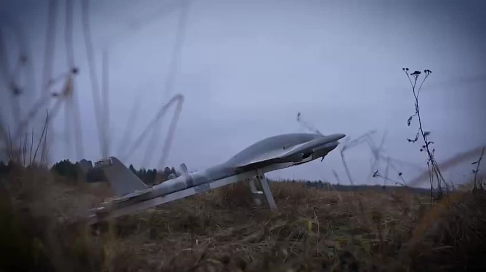 ���� � ��� ������ �����, � �� ������ ��� ���������