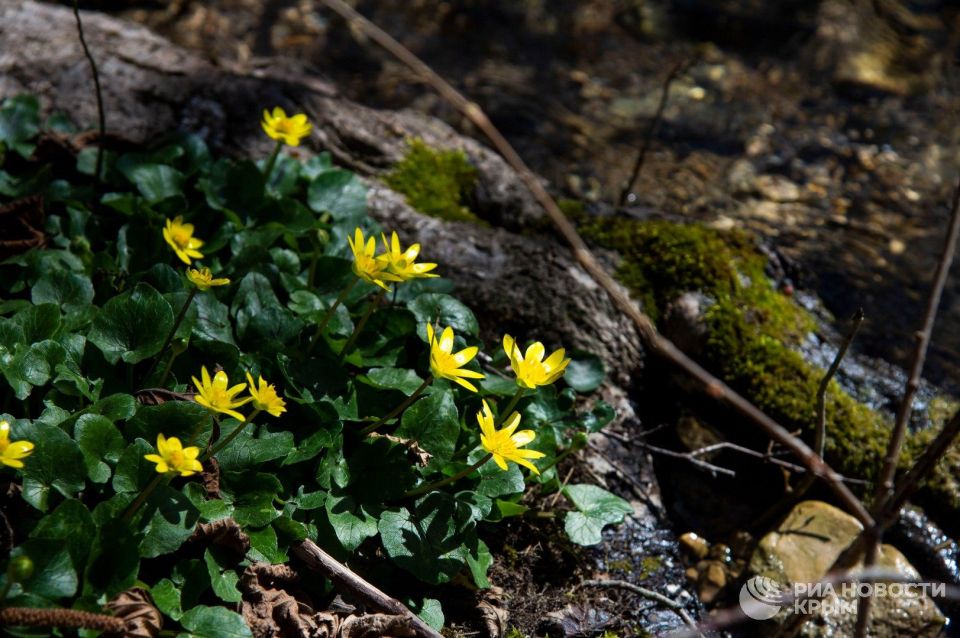 ������� ������ � ����� �� �������