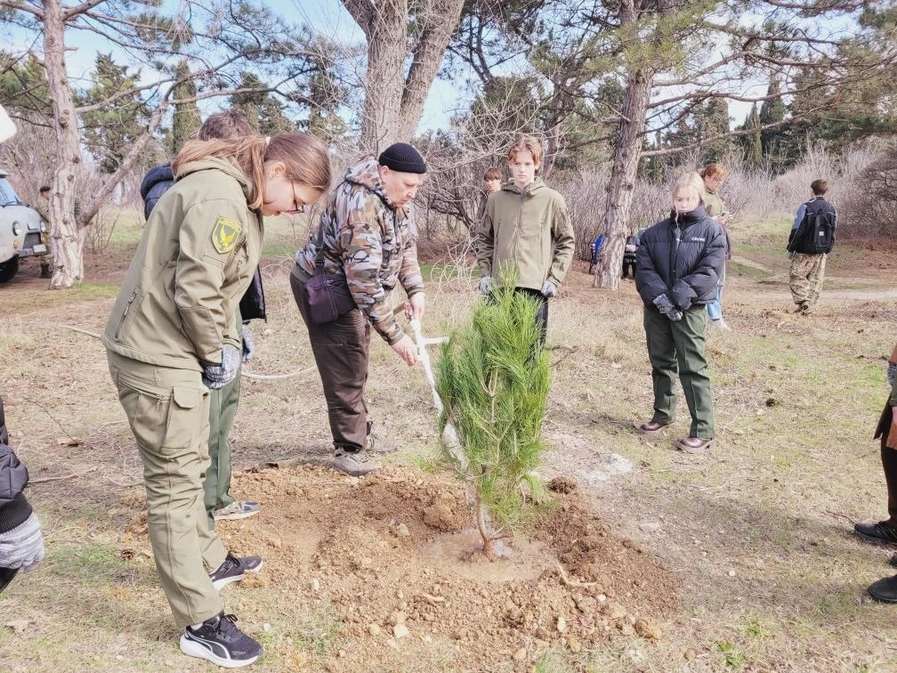 Экопросвещение. в Международный день лесов в Севастополе высадили 50 хвойных деревьев! Экопросвещение. в Международный день лесов в Севастополе высадили 50 хвойных деревьев!