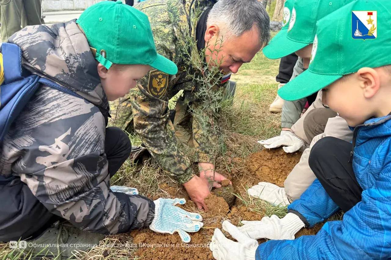 Школьники высадили порядка 50 кипарисов в парке 35-летия Победы Школьники высадили порядка 50 кипарисов в парке 35-летия Победы