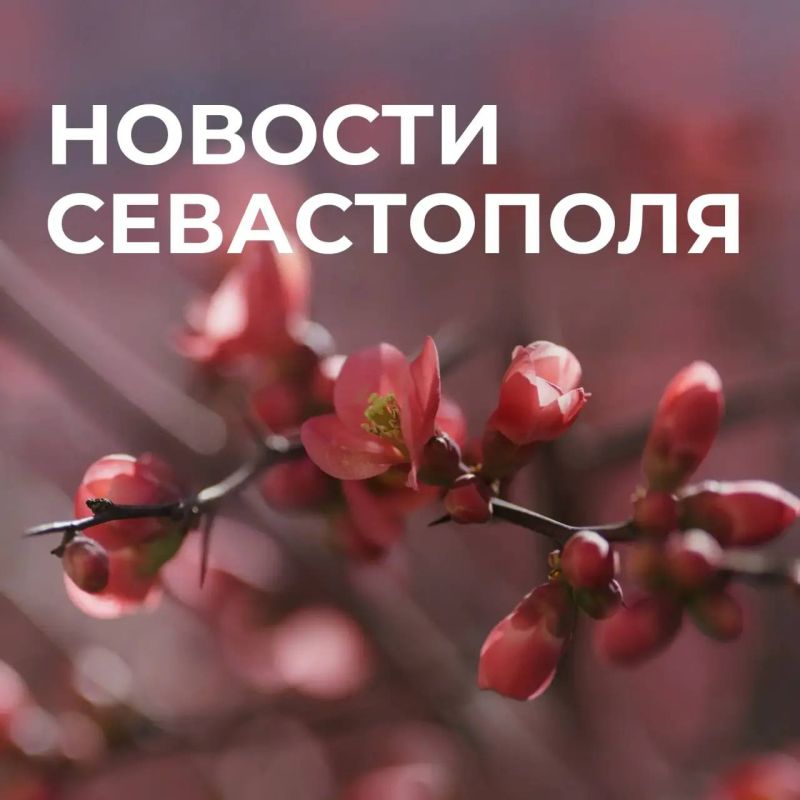 ������ ���������: ������� � �������:. �� �������: � ����������� ���������� ������������ ����� �����������