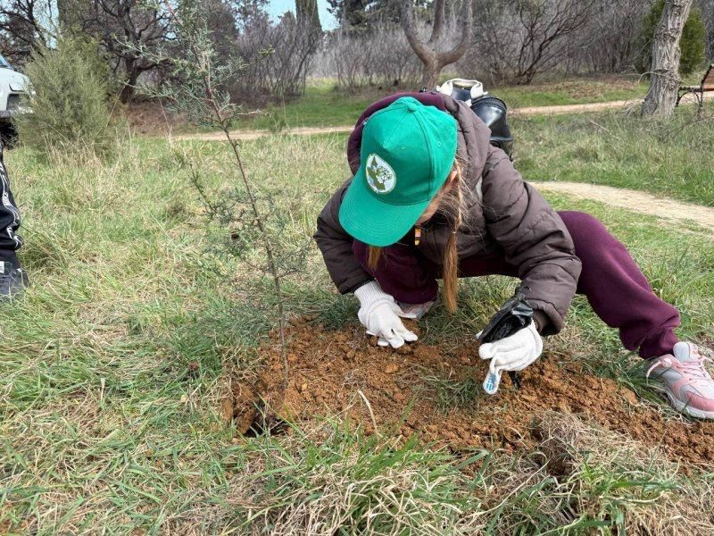 �������� �������� �������� ��������������� ��������� � ����� 35-����� ������