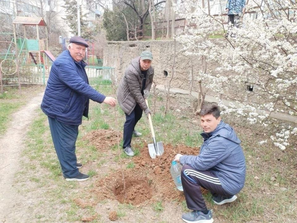 ��������� �������: ������� � ������ ������� �������� ������� ������ ���������, ����������� 12-����� ����������� ����������� � ������ ������