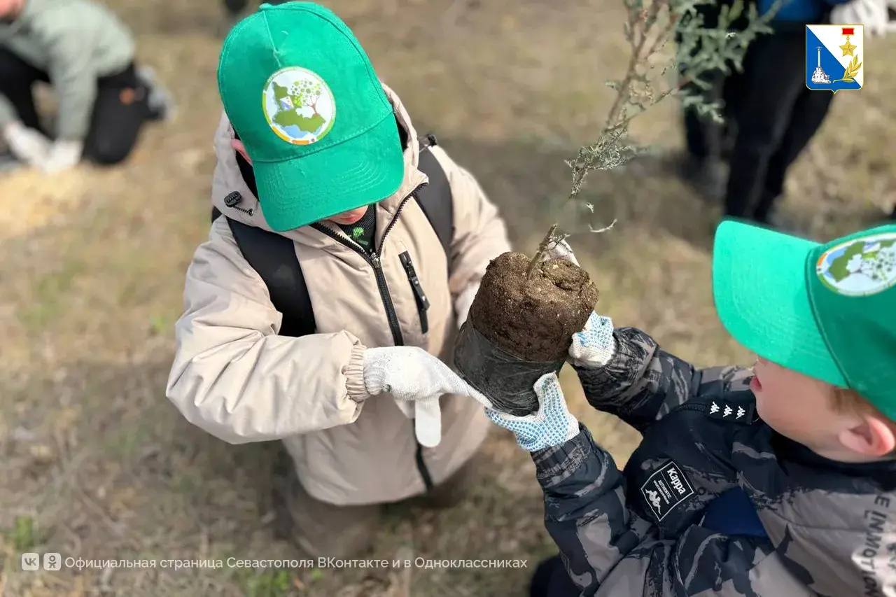 Школьники высадили порядка 50 кипарисов в парке 35-летия Победы Школьники высадили порядка 50 кипарисов в парке 35-летия Победы