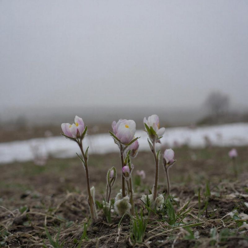 ������� ������ � ����� �� 21 �����