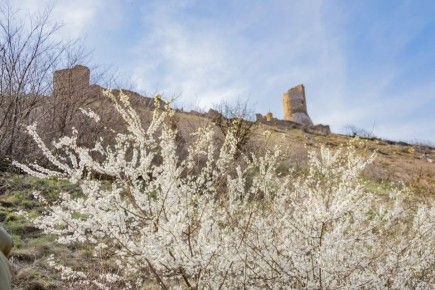 С добрым утром субботы!. 21 марта в Севастополе без осадков