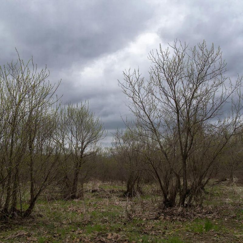 ������� ������ � ����� �� 22 �����