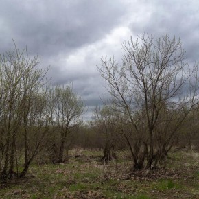 ������� ������ � ����� �� 22 �����