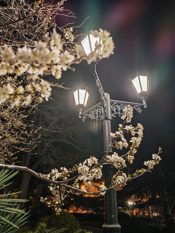 ������� ������, �������� �����