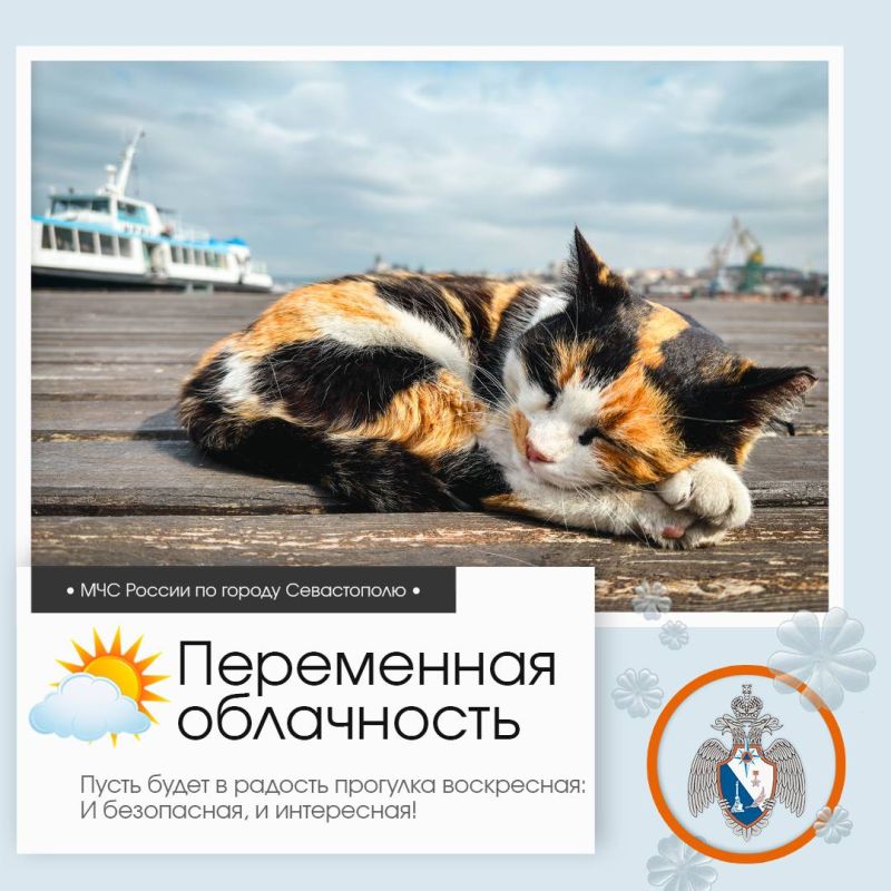 ������ ����, �����������!. �� ������ ��������������, 22 ����� � ����������� ����� ���������� ����������