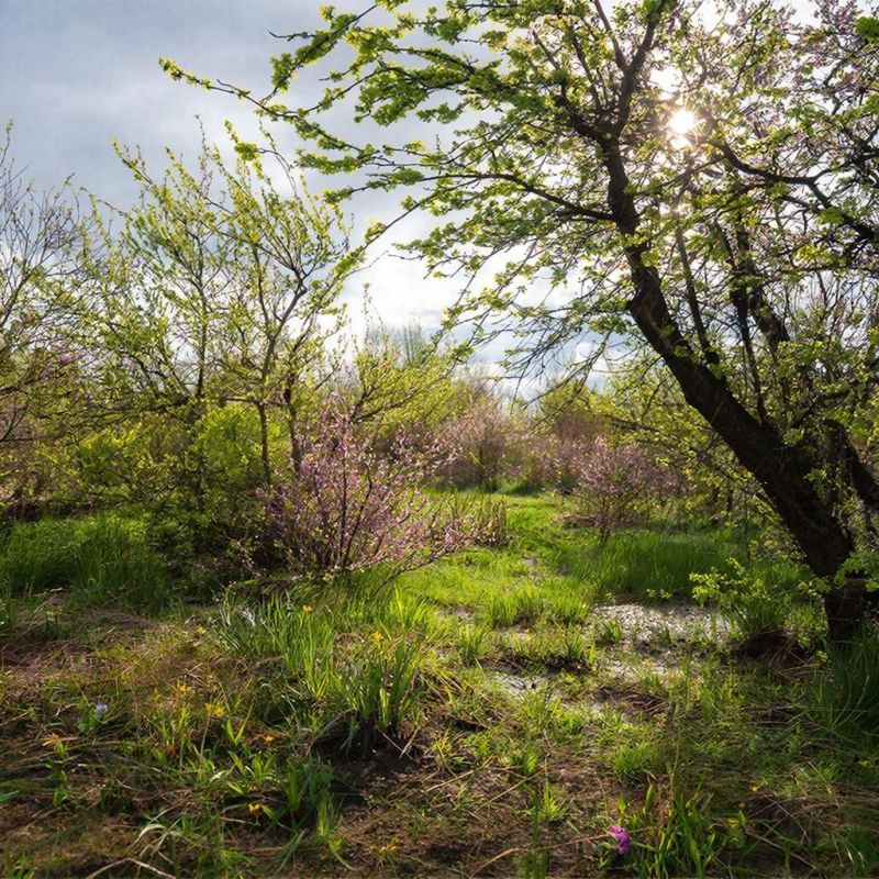 ������� ������ � ����� �� 23 �����