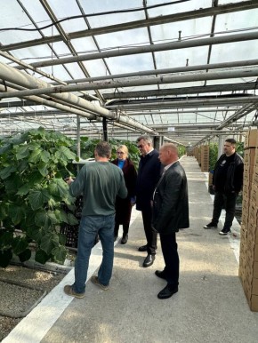 ������� ���������: ������� � ������� ������� ������� ��������� �������� ������ � ��� ������������, ��� ��������� ���� ������ ��������� ������