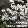 Михаил Развожаев: Коротко о главном:. Чистый город: в Севастополе стартовал сезон весенних субботников