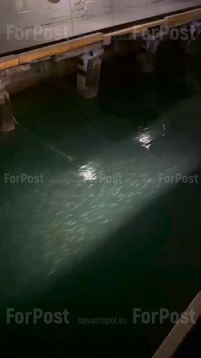 В тоннелях подземного музейного комплекса в Балаклаве — рыбы очень много