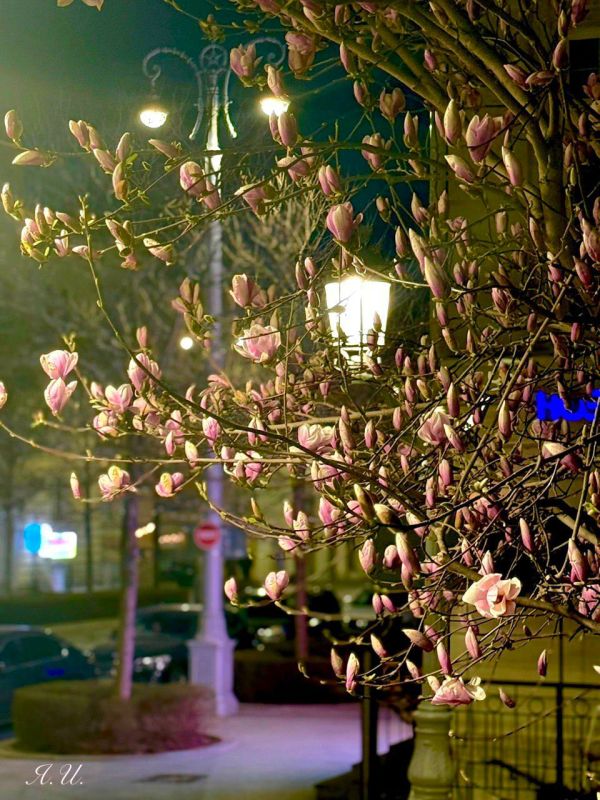 �������: ������ ��������� � ���������� �������� ��������� ��������� ������ ����������� �� ������� ������: