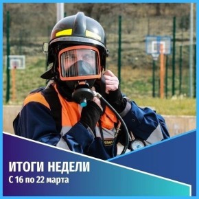 ������������ ������������. ������� ������ � 16 �� 22 �����