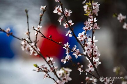 ������� ������ � ����� �� �����������