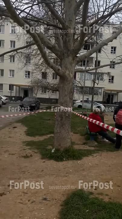 ��� ������ �������� ������������ ���� �� ��������� � �����������