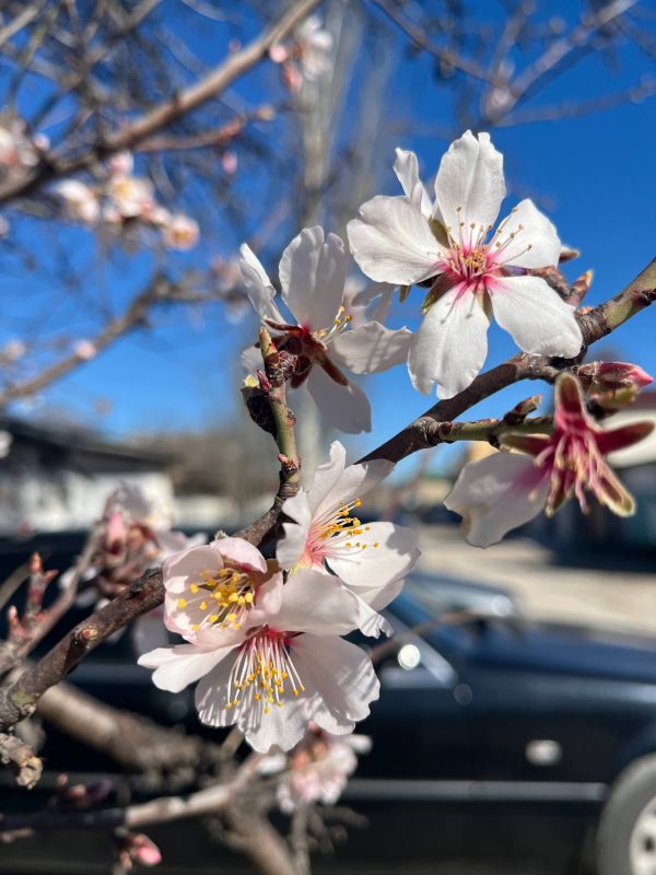 ������ �� 24 �����:. � ��������