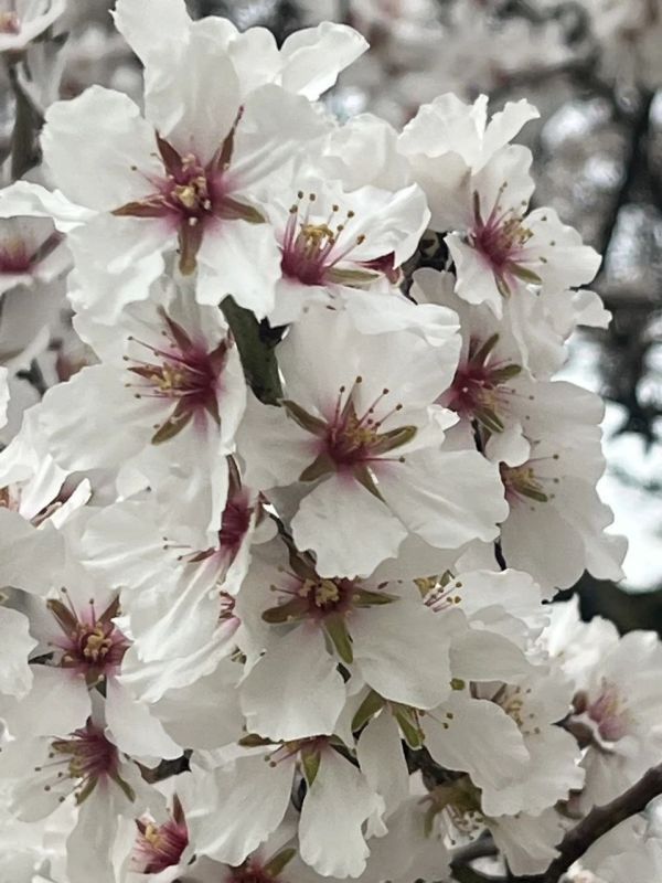 ���� �����. � ����������� ���� ��������� �����