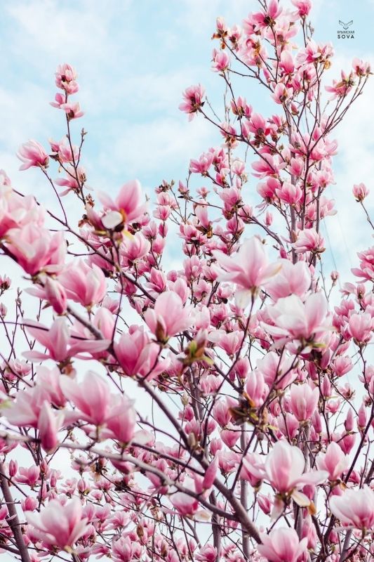 ��������� ������� �������� � �������� � �����������