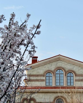 � ����� ��������� ����� �������� ����